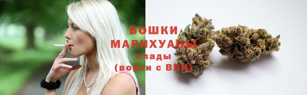 тгк Бикин