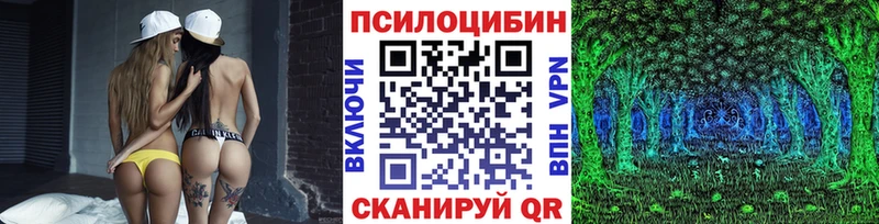 Галлюциногенные грибы MAGIC MUSHROOMS  наркотики  Чекалин 